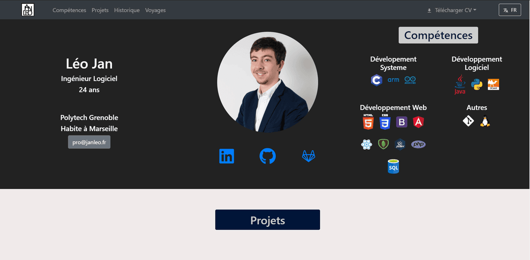 Web CV